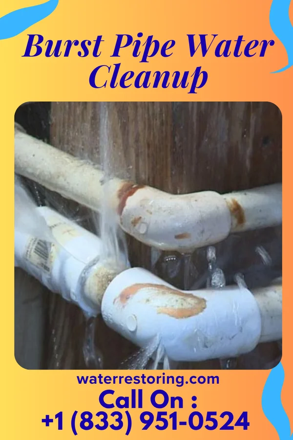 Burst Pipe Water Cleanup in Earlville, IL