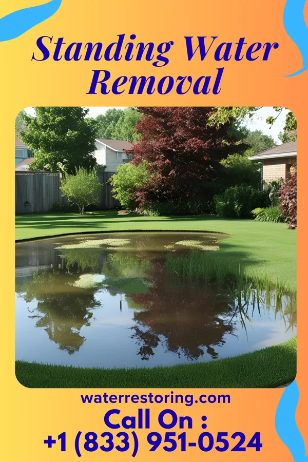 Standing Water Removal in Earlville, IL